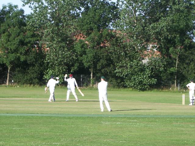 Mitul's 50