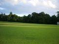 Nice ground is this