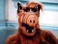 Alf - I wonder?