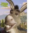 Donkey - I wonder?