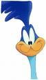 Road Runner - I wonder?