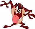 Tazmanian Devil - I wonder?