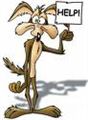 Wile E Coyote - I wonder?