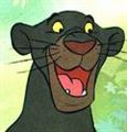 Bagheera - I wonder?