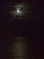 moonlight sky